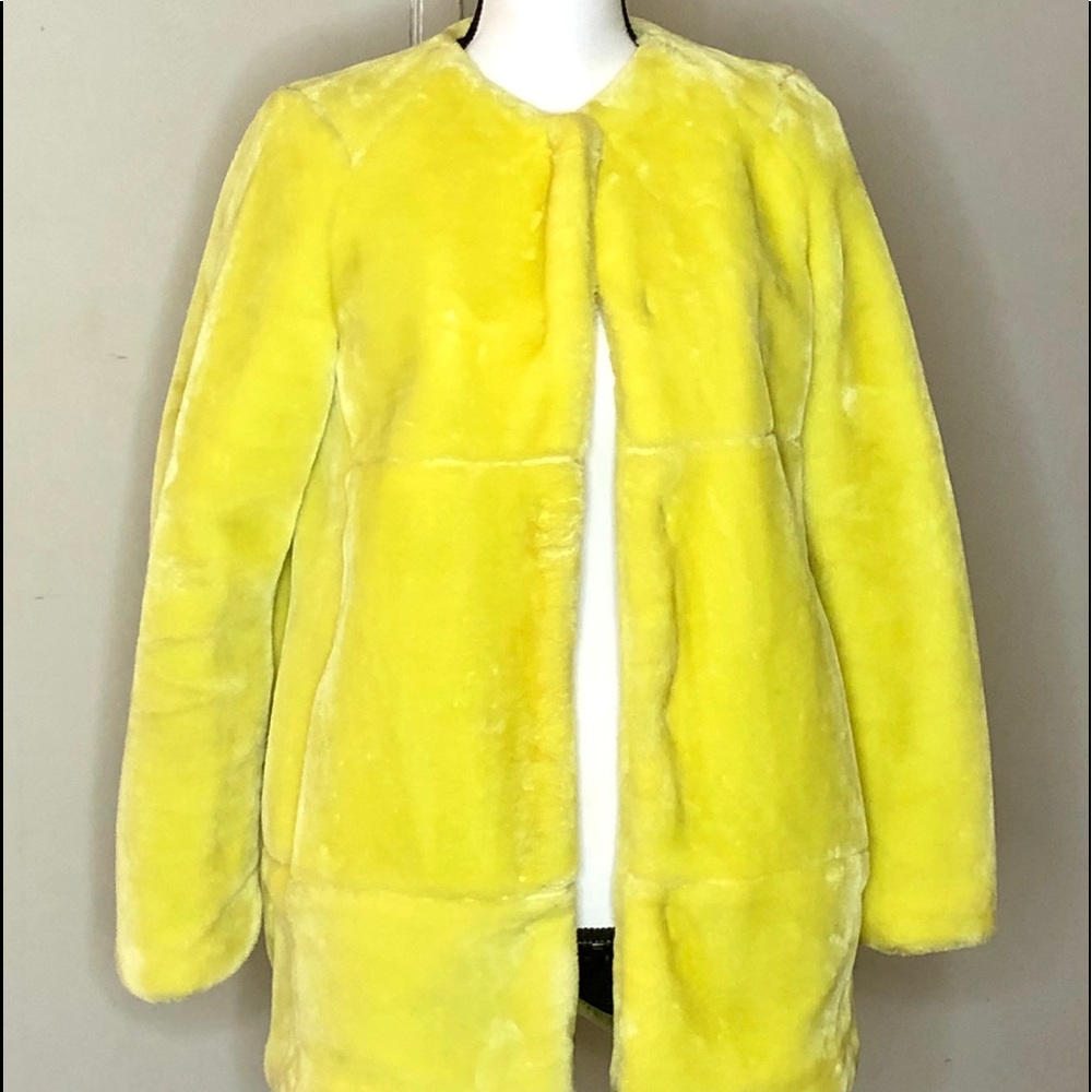 Zara Faux Fur Jacket